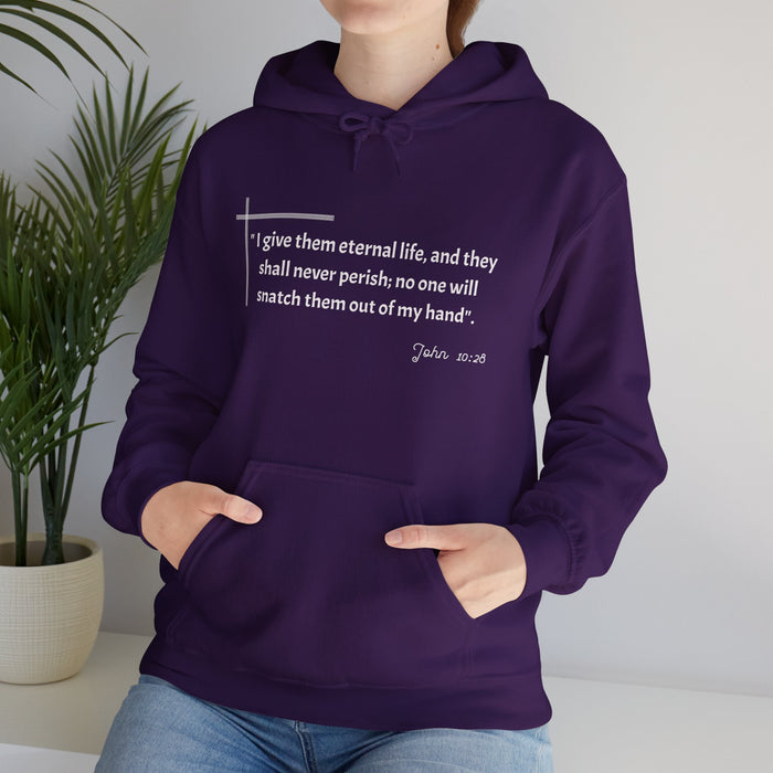 I give them eternal life and they shall never perish; no one will snatch them out of my hand". John 10:28  Unisex Heavy Blend™ Hooded Sweatshirt.