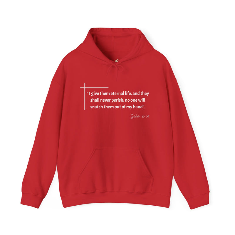 I give them eternal life and they shall never perish; no one will snatch them out of my hand". John 10:28  Unisex Heavy Blend™ Hooded Sweatshirt.