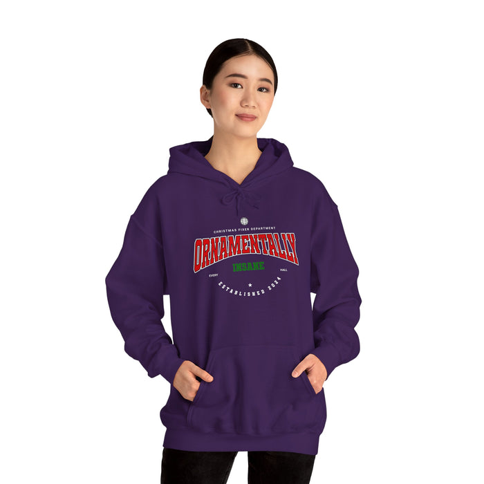 'Ornamentally Insane-Established 2024-' Unisex Heavy Blend™ Hooded Sweatshirt.