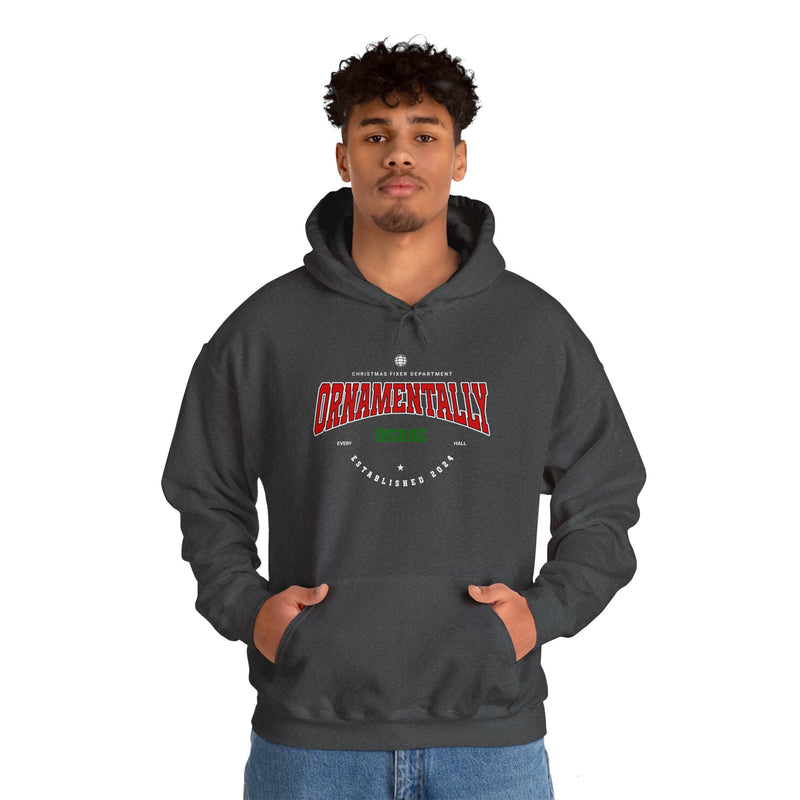 'Ornamentally Insane-Established 2024-' Unisex Heavy Blend™ Hooded Sweatshirt.
