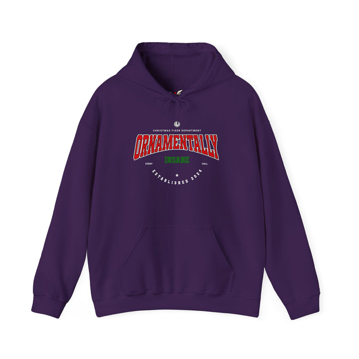 'Ornamentally Insane-Established 2024-' Unisex Heavy Blend™ Hooded Sweatshirt.