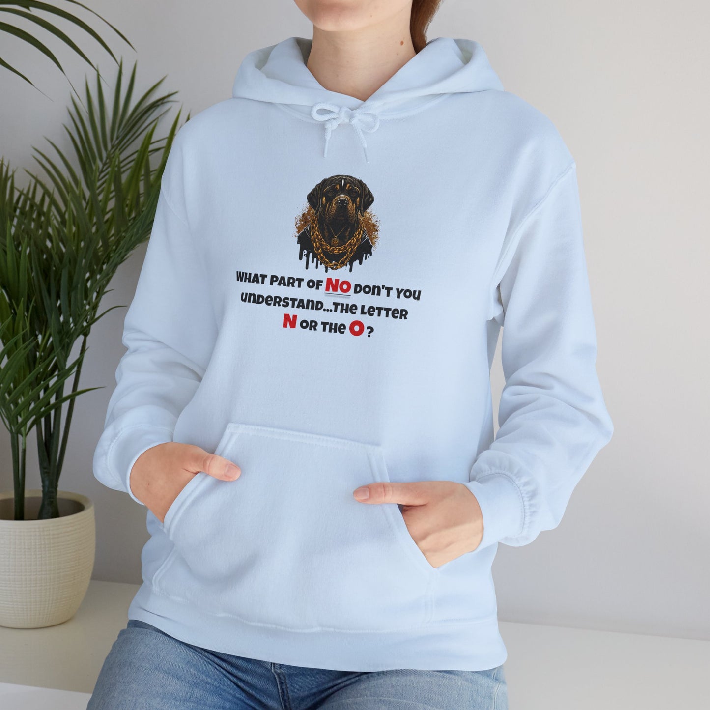 'What Part Of NO Don't You Understand, The Letter N or The O?' Unisex Heavy Blend™ Hooded Sweatshirt.