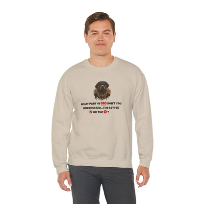 'What Part of NO Don't You Understand, The Letter N or The O?' Unisex Heavy Blend™ Crewneck Sweatshirt.