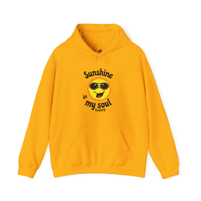 'Sunshine on my Soul Today' Unisex Heavy Blend™ Hooded Sweatshirt.
