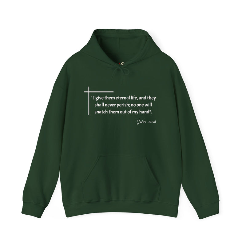 I give them eternal life and they shall never perish; no one will snatch them out of my hand". John 10:28  Unisex Heavy Blend™ Hooded Sweatshirt.