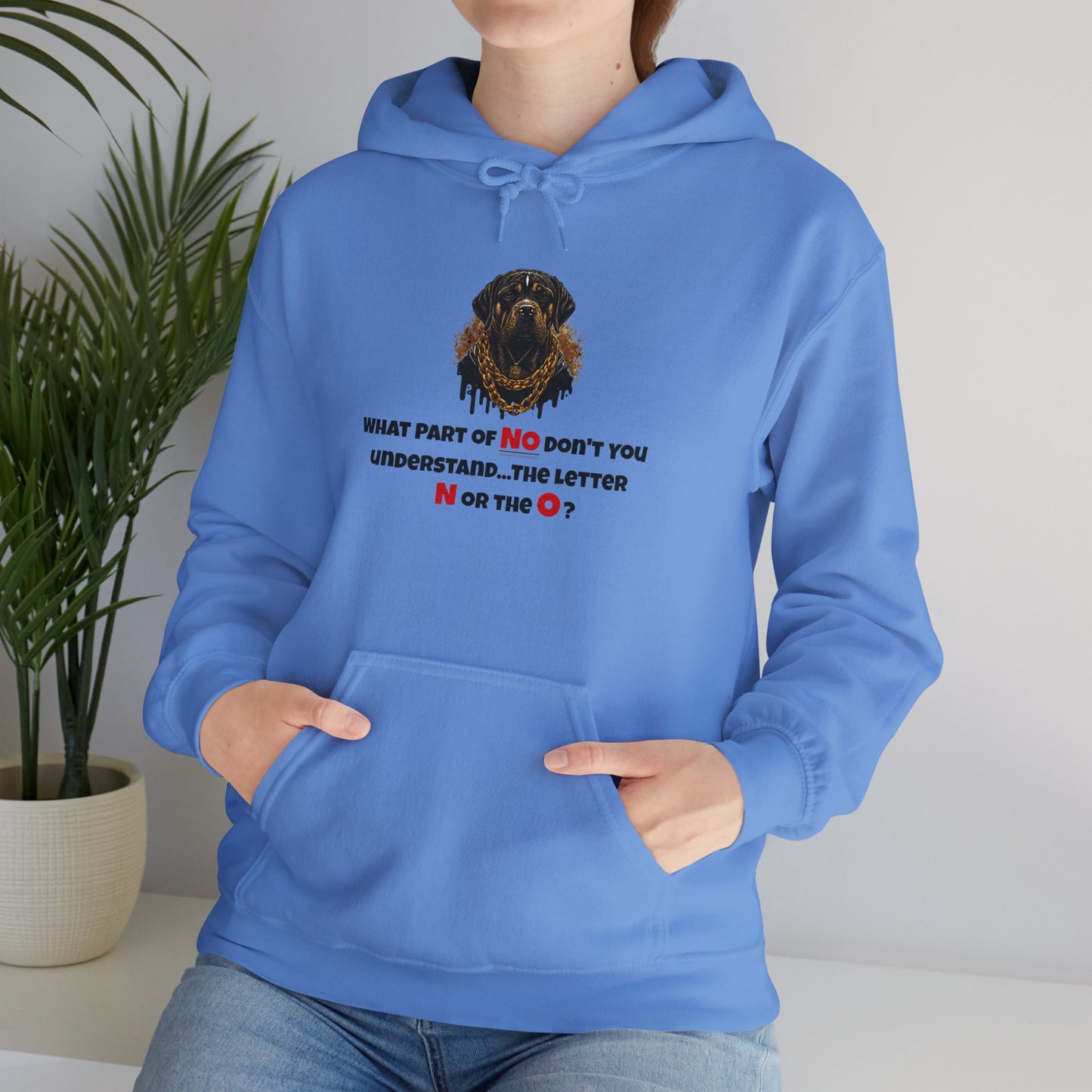 'What Part Of NO Don't You Understand, The Letter N or The O?' Unisex Heavy Blend™ Hooded Sweatshirt.