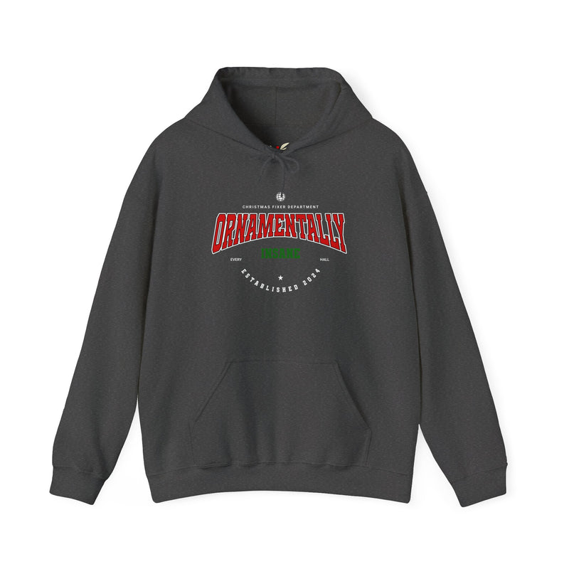 'Ornamentally Insane-Established 2024-' Unisex Heavy Blend™ Hooded Sweatshirt.